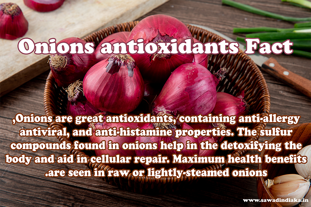 Onions antioxidants Fact
